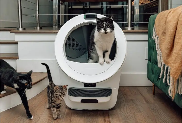 2multicat