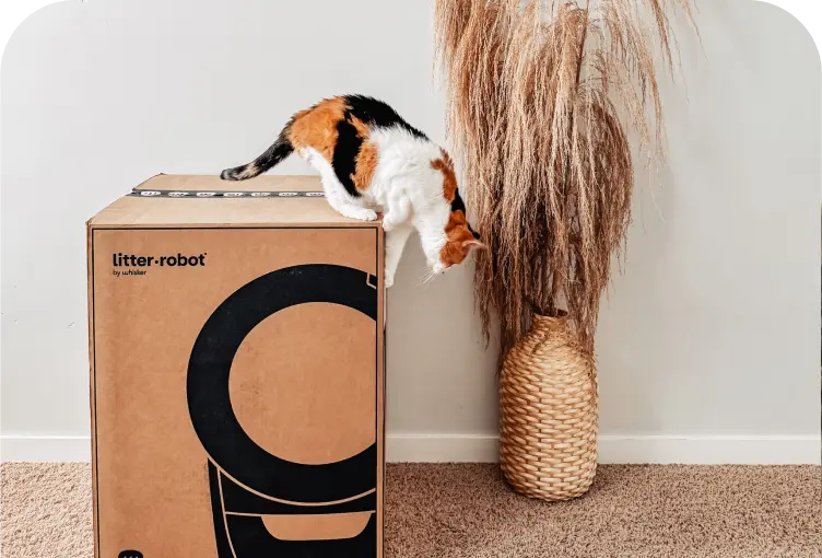 3Free shipping