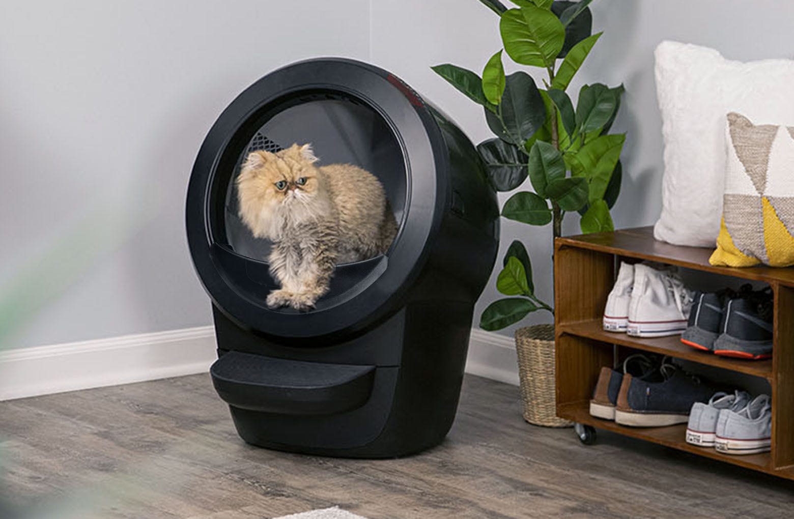 Litter-Robot® 4 Starter Bundle 5 Litter-Robot® 4 Starter Bundle