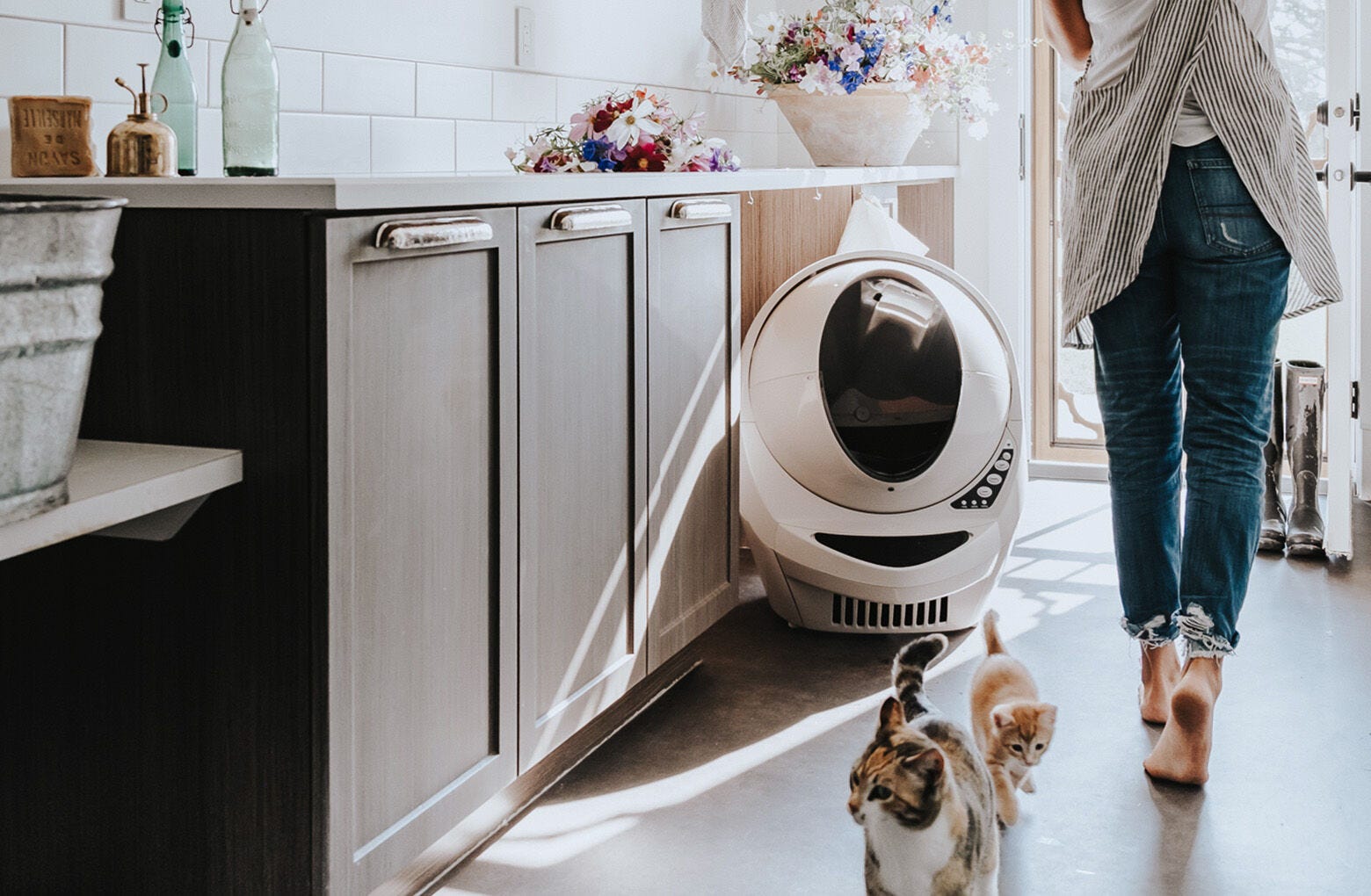 Litter-Robot 3 Connect 5 Litter-Robot 3 Connect