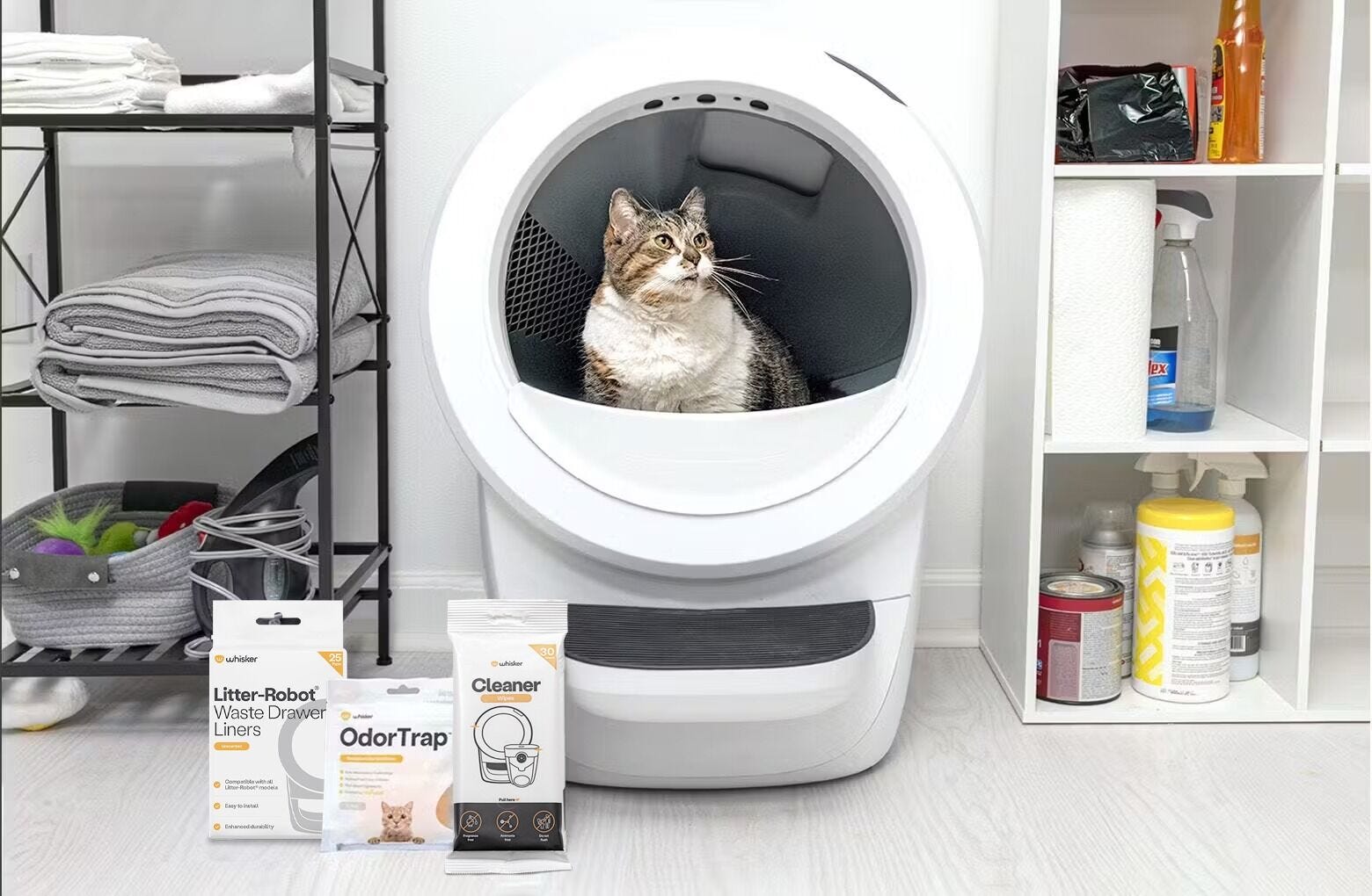Litter-Robot 4- Reconditioned Bundle