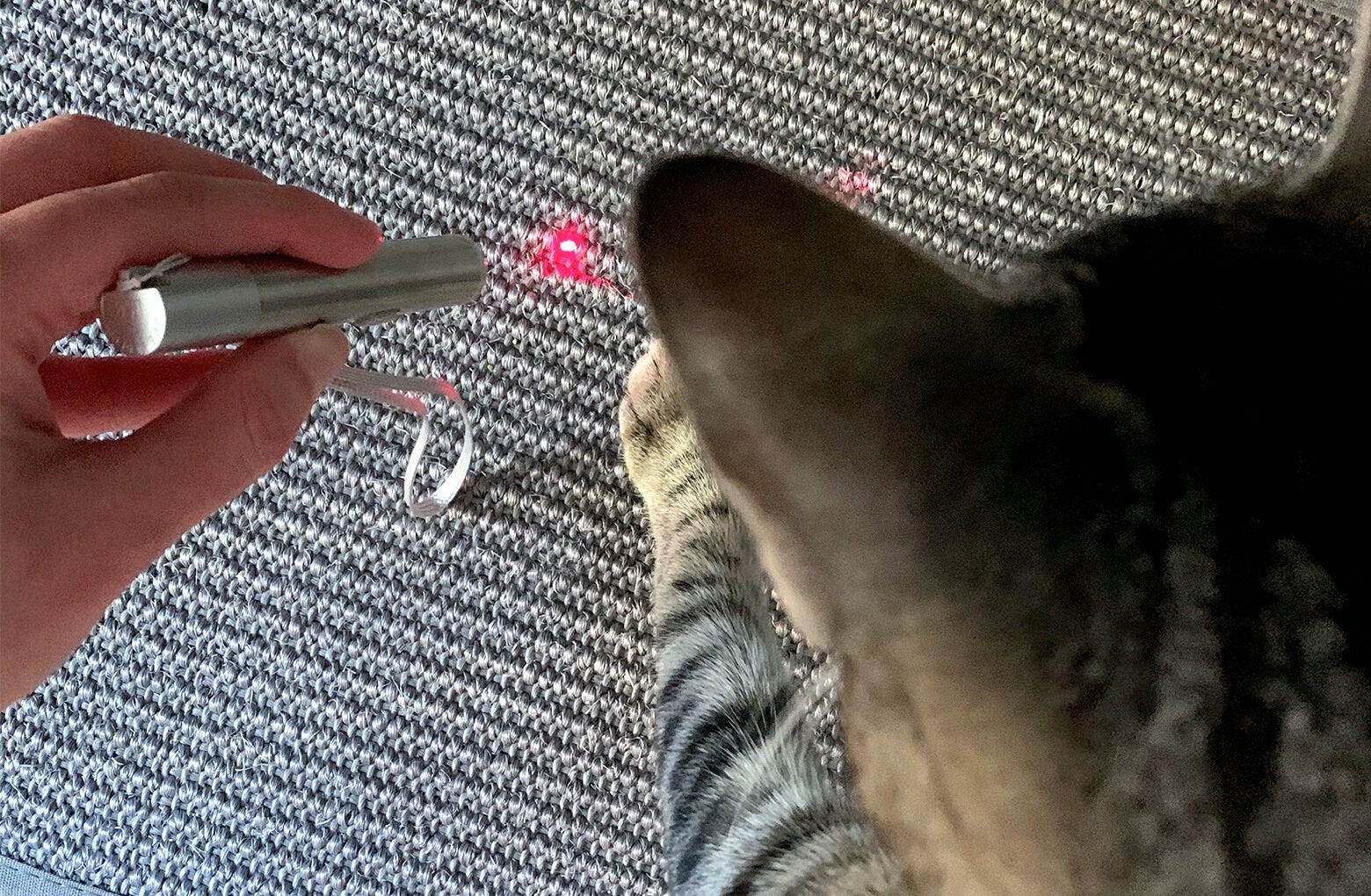 Rechargeable Laser Pointer