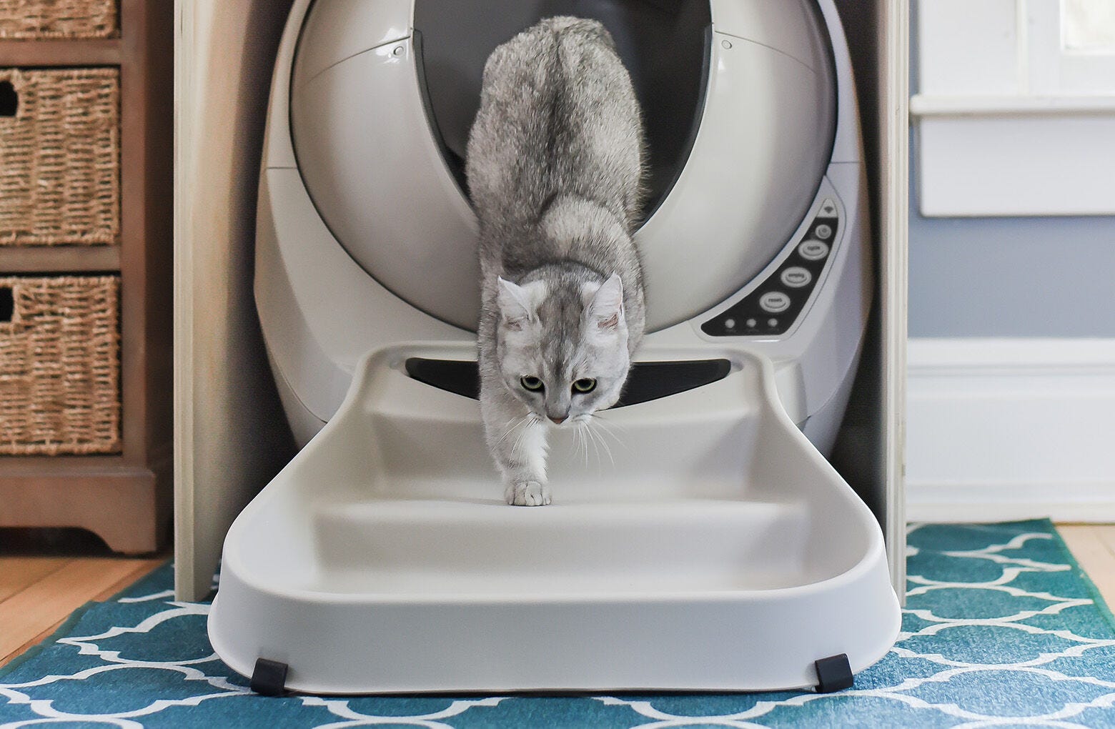 Litter-Robot 3 Ramp - Reconditioned