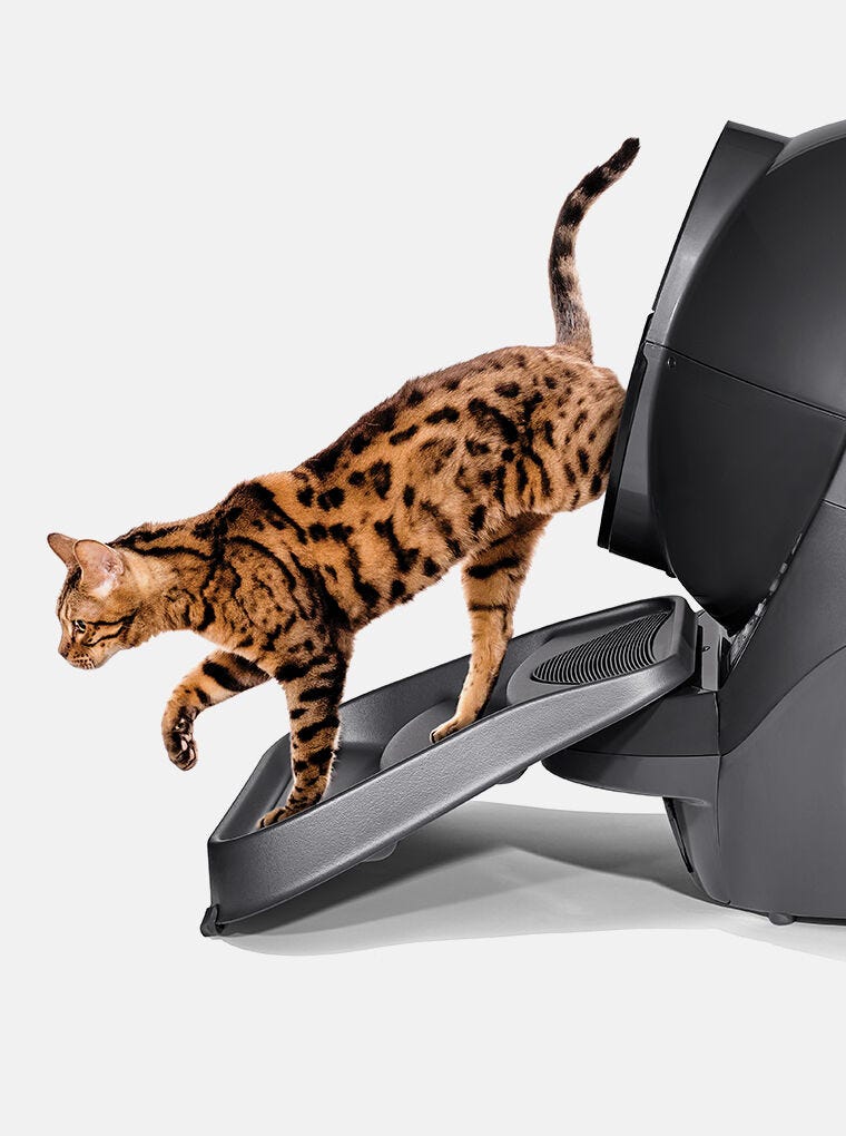 Litter-Robot 3 Ramp - Reconditioned