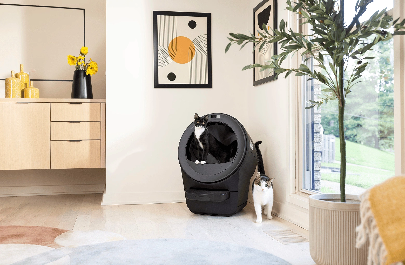 Litter-Robot® 5 Starter Bundle