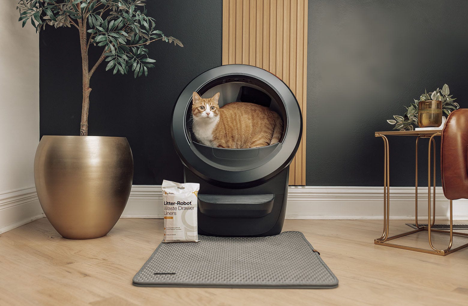 Litter-Robot® 4 Insights Bundle 2 Litter-Robot® 4 Insights Bundle