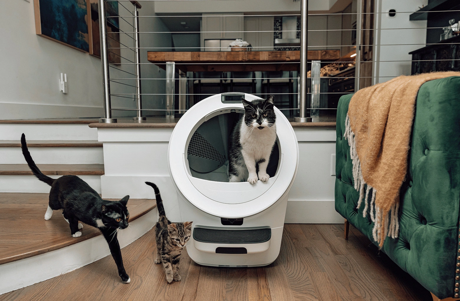 Litter-Robot® 5 Pro HSA/FSA Bundle