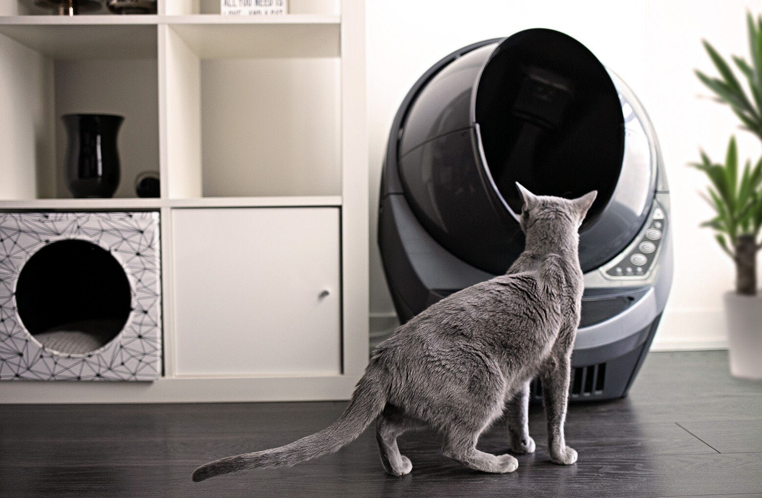 Litter-Robot 3 Connect - Reconditioned 6 Litter-Robot 3 Connect - Reconditioned